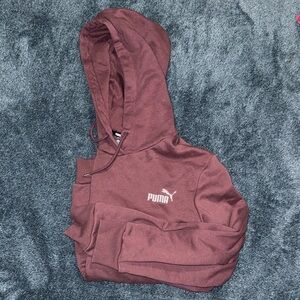 Puma Burgundy Hoodie